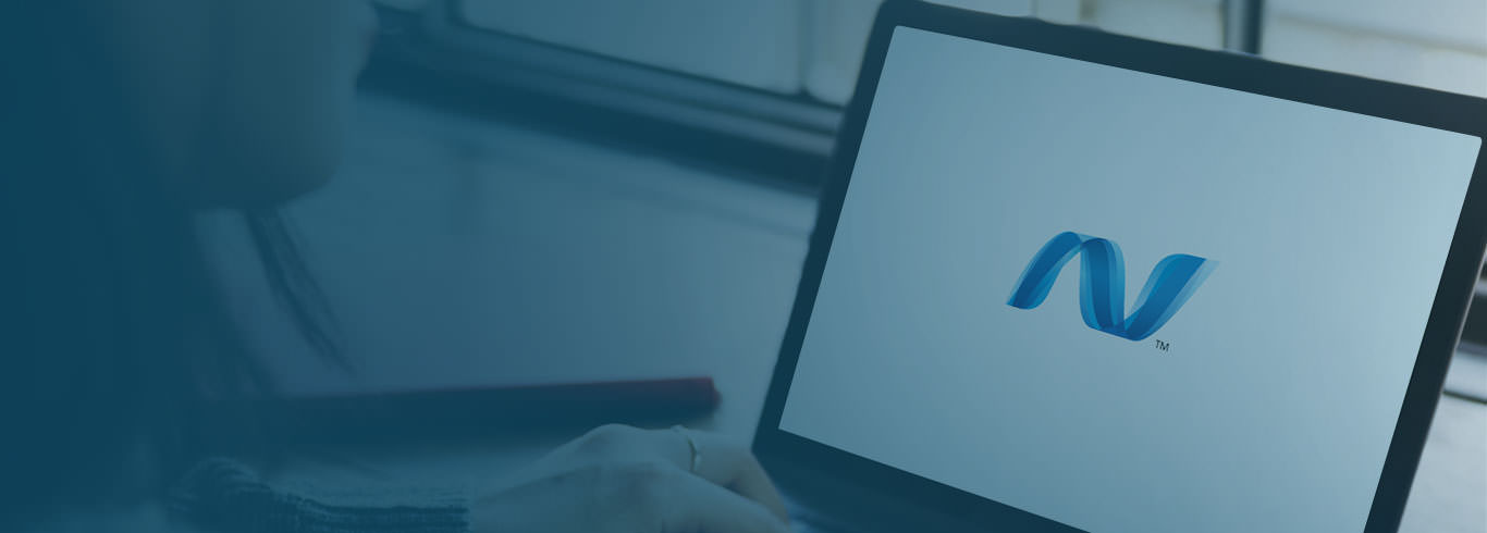 .Net Development Company