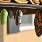 digital-transformation