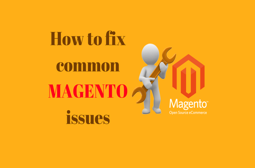Top Challenges For Magento Ecommerce Stores