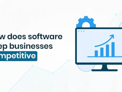 software is your competitive advantage