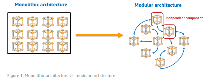 Monolithic and Modular Architecture