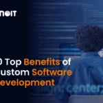 10 Top Benefits of Custom Software Development