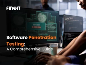 Software Penetration Testing
