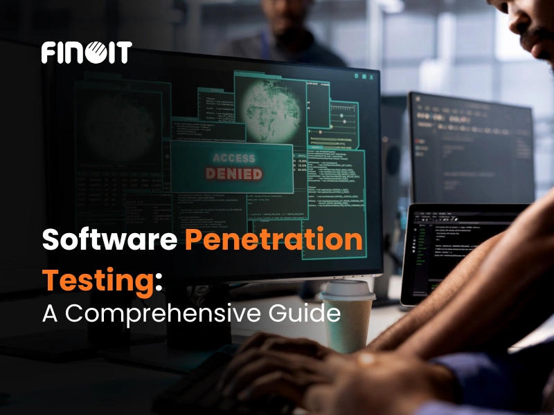 Software Penetration Testing
